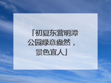 初夏东营明潭公园绿意盎然，景色宜人