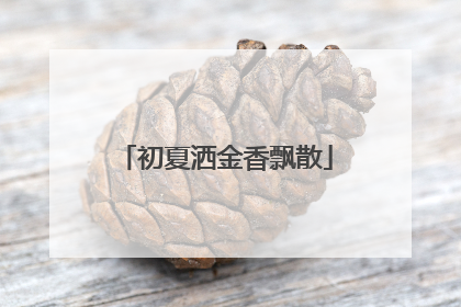 初夏洒金香飘散