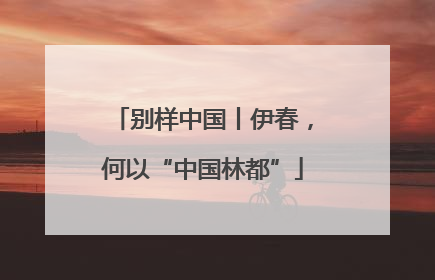 别样中国丨伊春，何以“中国林都”
