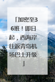 加密至36班！即日起，西海岸往返青岛机场巴士升级