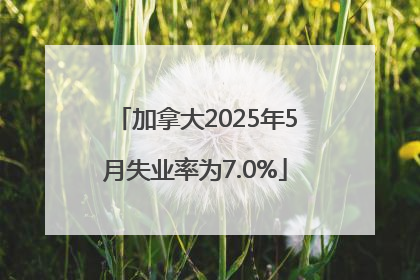 加拿大2025年5月失业率为7.0%