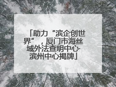 助力“滨企创世界”，厦门市海丝域外法查明中心·滨州中心揭牌