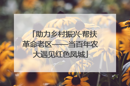 助力乡村振兴·帮扶革命老区——当百年农大遇见红色凤城