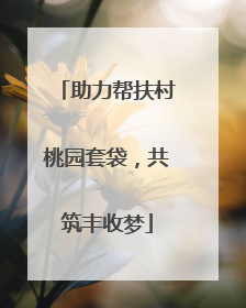 助力帮扶村桃园套袋，共筑丰收梦