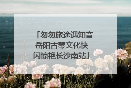 匆匆旅途遇知音 岳阳古琴文化快闪惊艳长沙南站