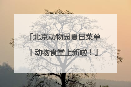 北京动物园夏日菜单丨动物食堂上新啦！