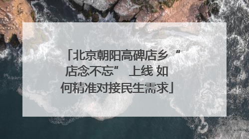 北京朝阳高碑店乡“店念不忘” 上线 如何精准对接民生需求