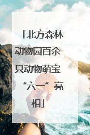 北方森林动物园百余只动物萌宝“六一”亮相