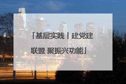 基层实践丨建党建联盟 聚振兴功能