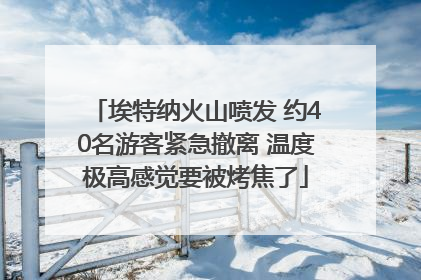 埃特纳火山喷发 约40名游客紧急撤离 温度极高感觉要被烤焦了