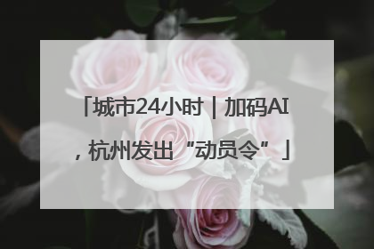 城市24小时｜加码AI，杭州发出“动员令”