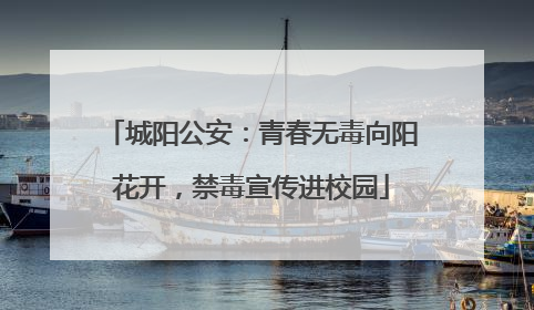 城阳公安：青春无毒向阳花开，禁毒宣传进校园