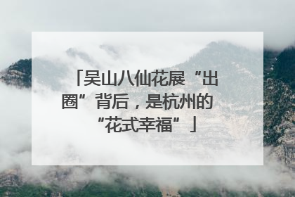 吴山八仙花展“出圈”背后，是杭州的“花式幸福”