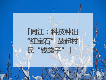 同江：科技种出“红宝石”鼓起村民“钱袋子”