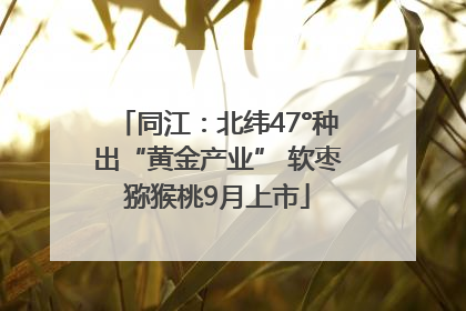 同江：北纬47°种出“黄金产业” 软枣猕猴桃9月上市