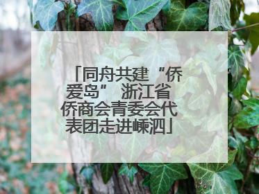 同舟共建“侨爱岛” 浙江省侨商会青委会代表团走进嵊泗