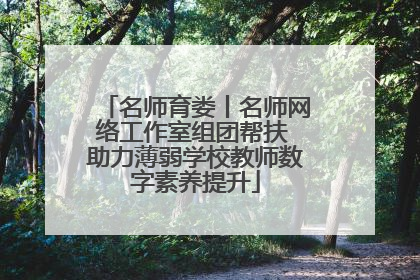 名师育娄丨名师网络工作室组团帮扶 助力薄弱学校教师数字素养提升