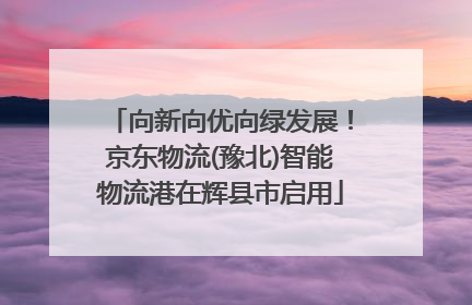 向新向优向绿发展！京东物流(豫北)智能物流港在辉县市启用