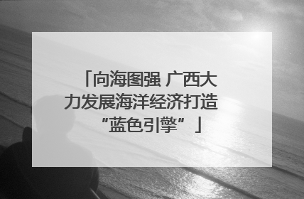 向海图强 广西大力发展海洋经济打造“蓝色引擎”