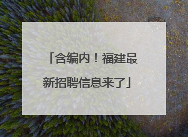 含编内！福建最新招聘信息来了