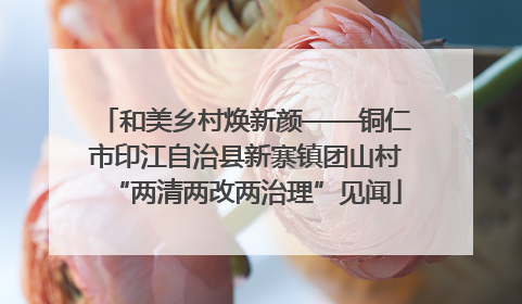和美乡村焕新颜——铜仁市印江自治县新寨镇团山村“两清两改两治理”见闻