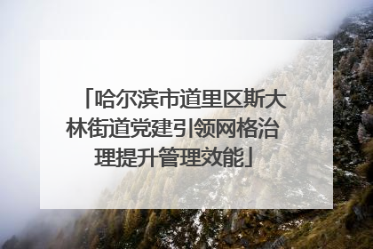 哈尔滨市道里区斯大林街道党建引领网格治理提升管理效能