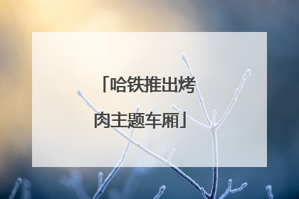 哈铁推出烤肉主题车厢