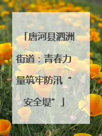 唐河县泗洲街道：青春力量筑牢防汛“安全堤”