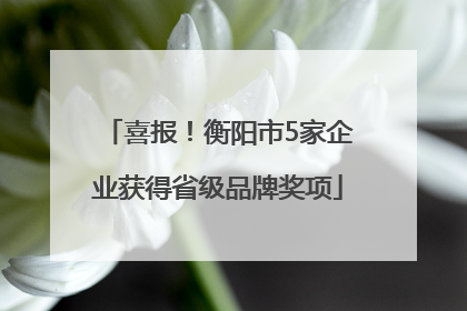 喜报！衡阳市5家企业获得省级品牌奖项