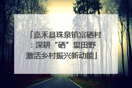 嘉禾县珠泉镇富硒村：深耕“硒”望田野 激活乡村振兴新动能
