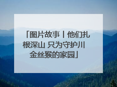 图片故事丨他们扎根深山 只为守护川金丝猴的家园