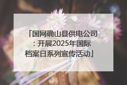 国网确山县供电公司：开展2025年国际档案日系列宣传活动