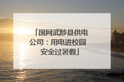 国网武陟县供电公司：用电进校园  安全过暑假