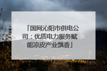 国网沁阳市供电公司：优质电力服务赋能凉皮产业飘香