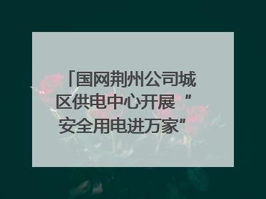 国网荆州公司城区供电中心开展“安全用电进万家”主题宣传活动