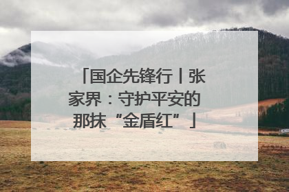 国企先锋行丨张家界：守护平安的那抹“金盾红”