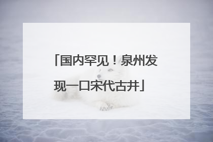 国内罕见！泉州发现一口宋代古井