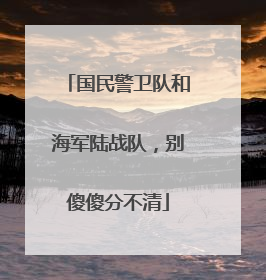 国民警卫队和海军陆战队，别傻傻分不清