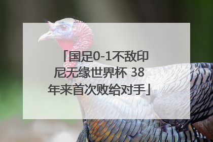 国足0-1不敌印尼无缘世界杯 38年来首次败给对手