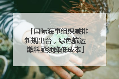 国际海事组织减排新规出台，绿色航运燃料亟须降低成本