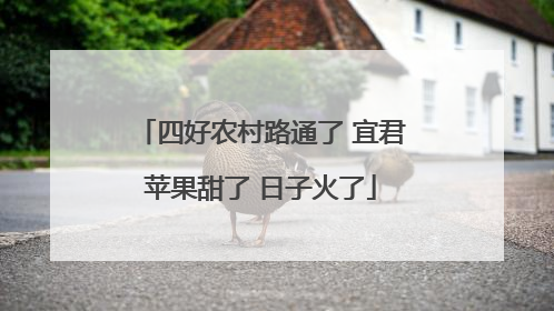 四好农村路通了 宜君苹果甜了 日子火了