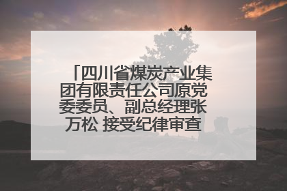 四川省煤炭产业集团有限责任公司原党委委员、副总经理张万松 接受纪律审查和监察调查