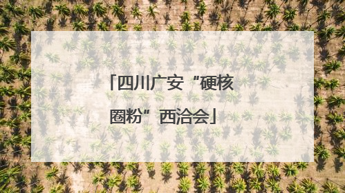 四川广安“硬核圈粉”西洽会
