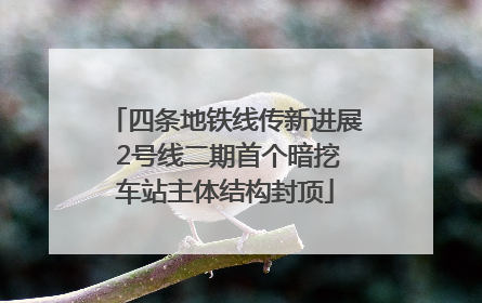 四条地铁线传新进展 2号线二期首个暗挖车站主体结构封顶