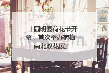 圆明园荷花节开幕，首次举办荷梅南北双花展