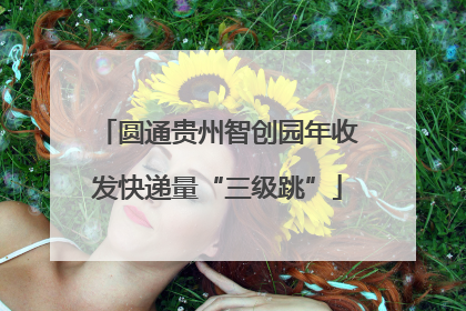 圆通贵州智创园年收发快递量“三级跳”