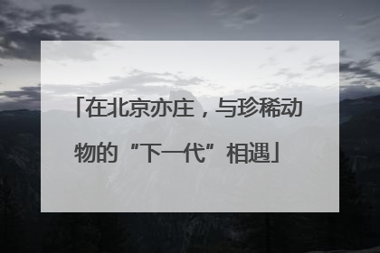 在北京亦庄，与珍稀动物的“下一代”相遇