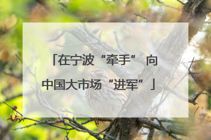 在宁波“牵手” 向中国大市场“进军”