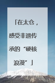 在太仓，感受非遗传承的“硬核浪漫”