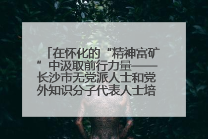 在怀化的“精神富矿”中汲取前行力量——长沙市无党派人士和党外知识分子代表人士培训班在怀化圆满举办